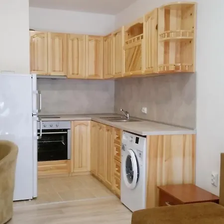 公寓 1 Bedroom Near The Center 布尔加斯
